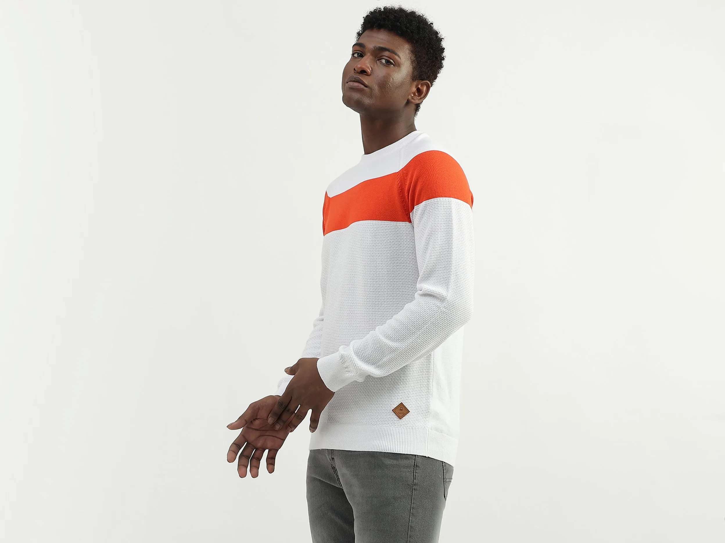 Cotton Printed Round Neck Mens Sweaters