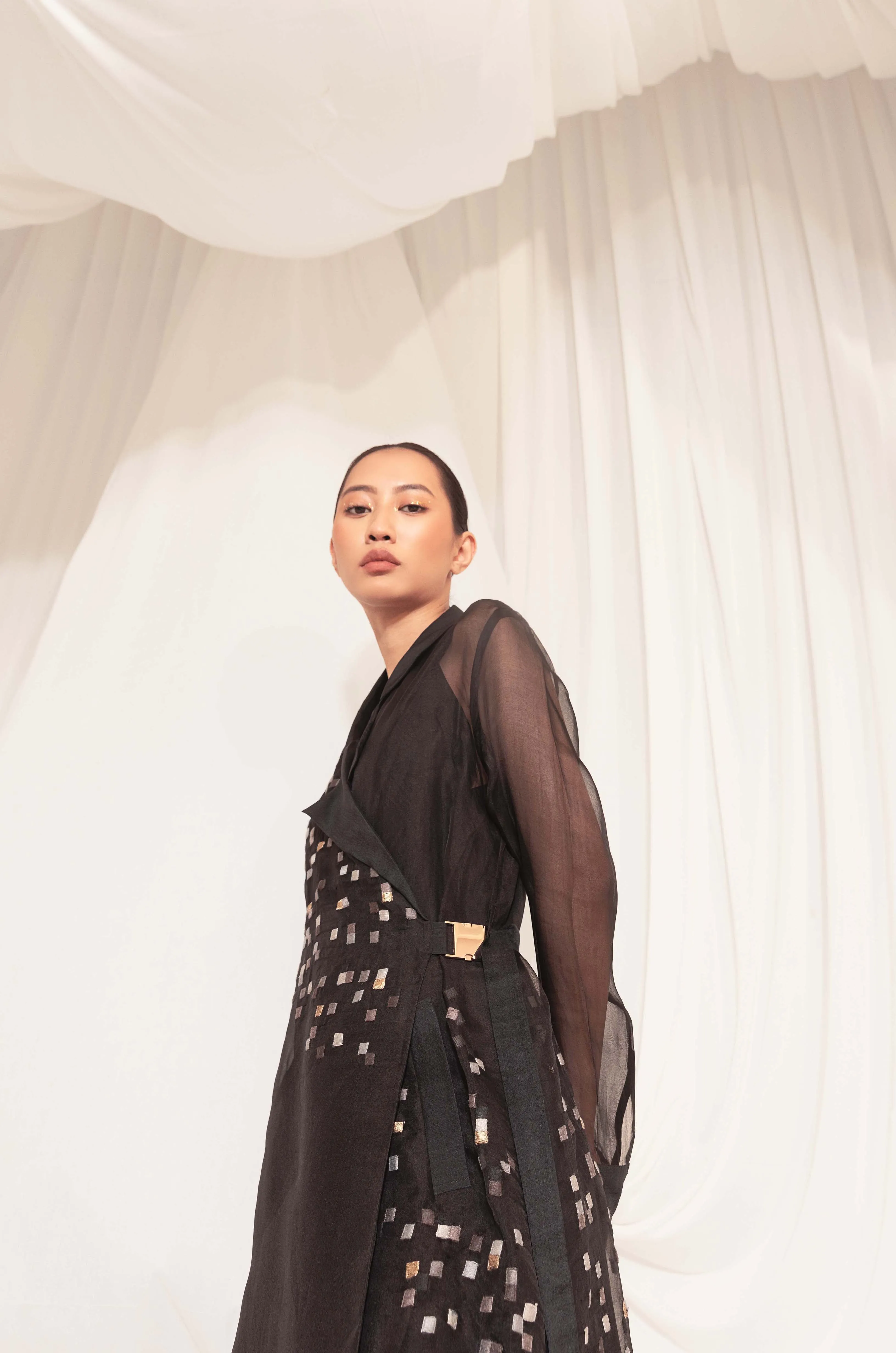 Lucent Organza Trench Dress