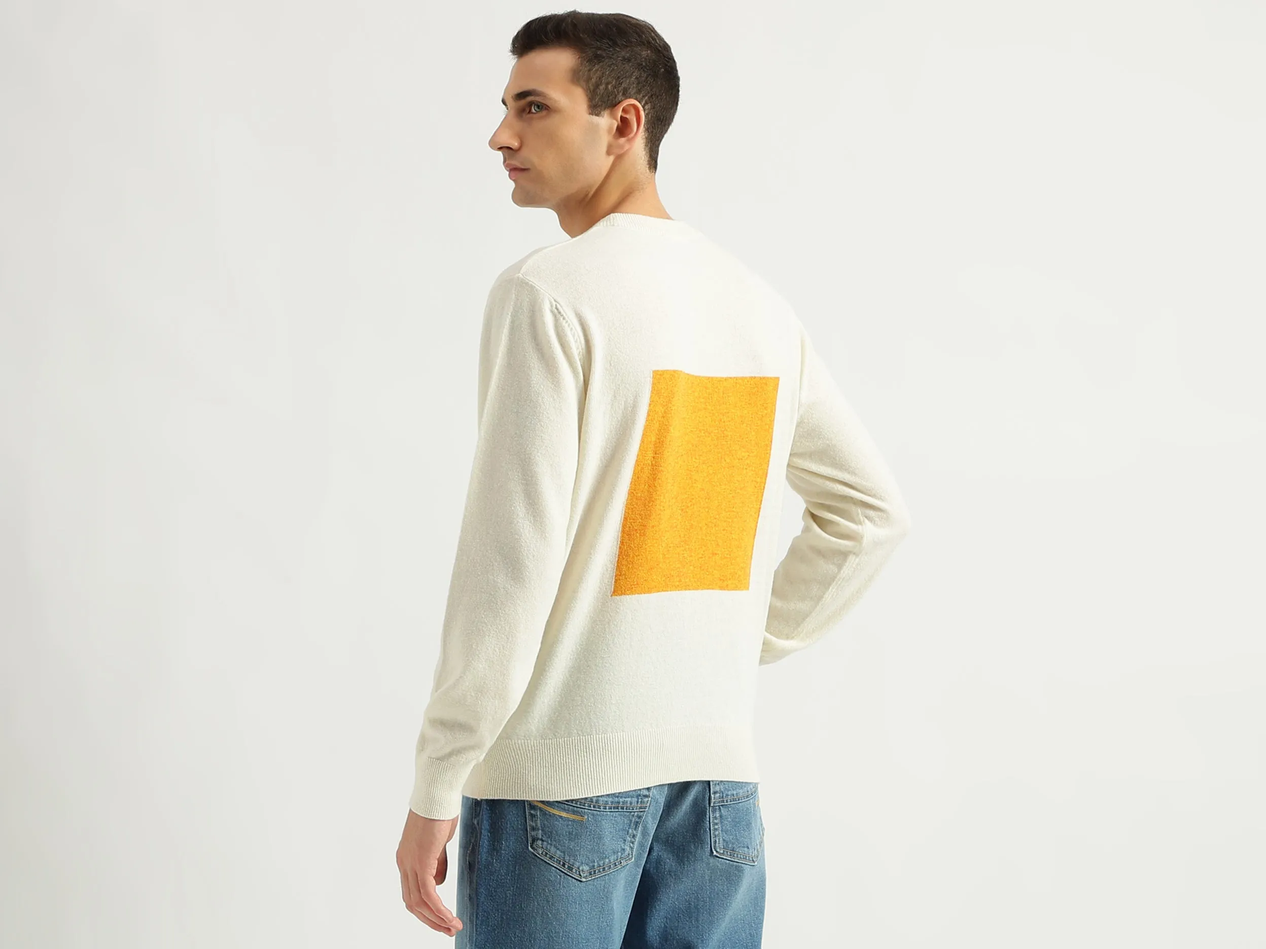 Men's Regular Fit Round Neck Color Block Sweaters