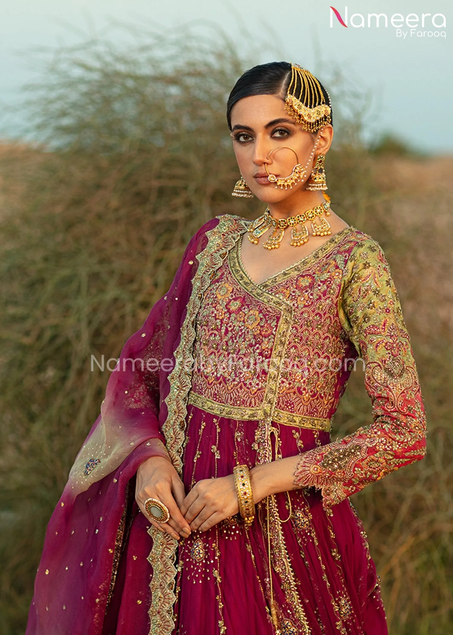 Traditional Bridal Lehenga Indian Gown Dress #BS660